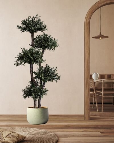 Konserverat Eukalyptusträd - Parvifolia – Krona (5st) – naturligt grönt utan skötsel