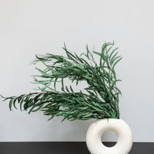Eucalyptus