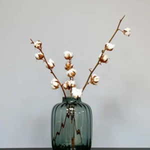 Naturell Deco