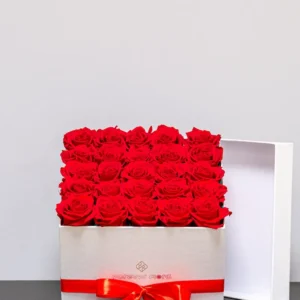 Rosbox