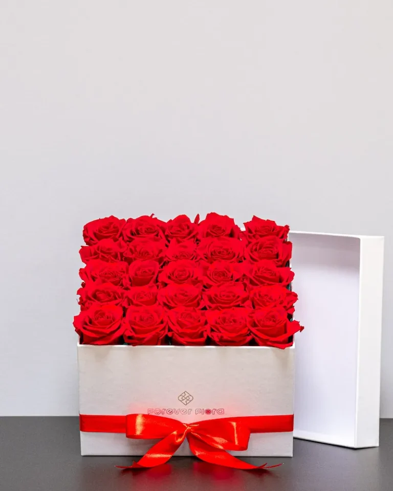 Rosbox